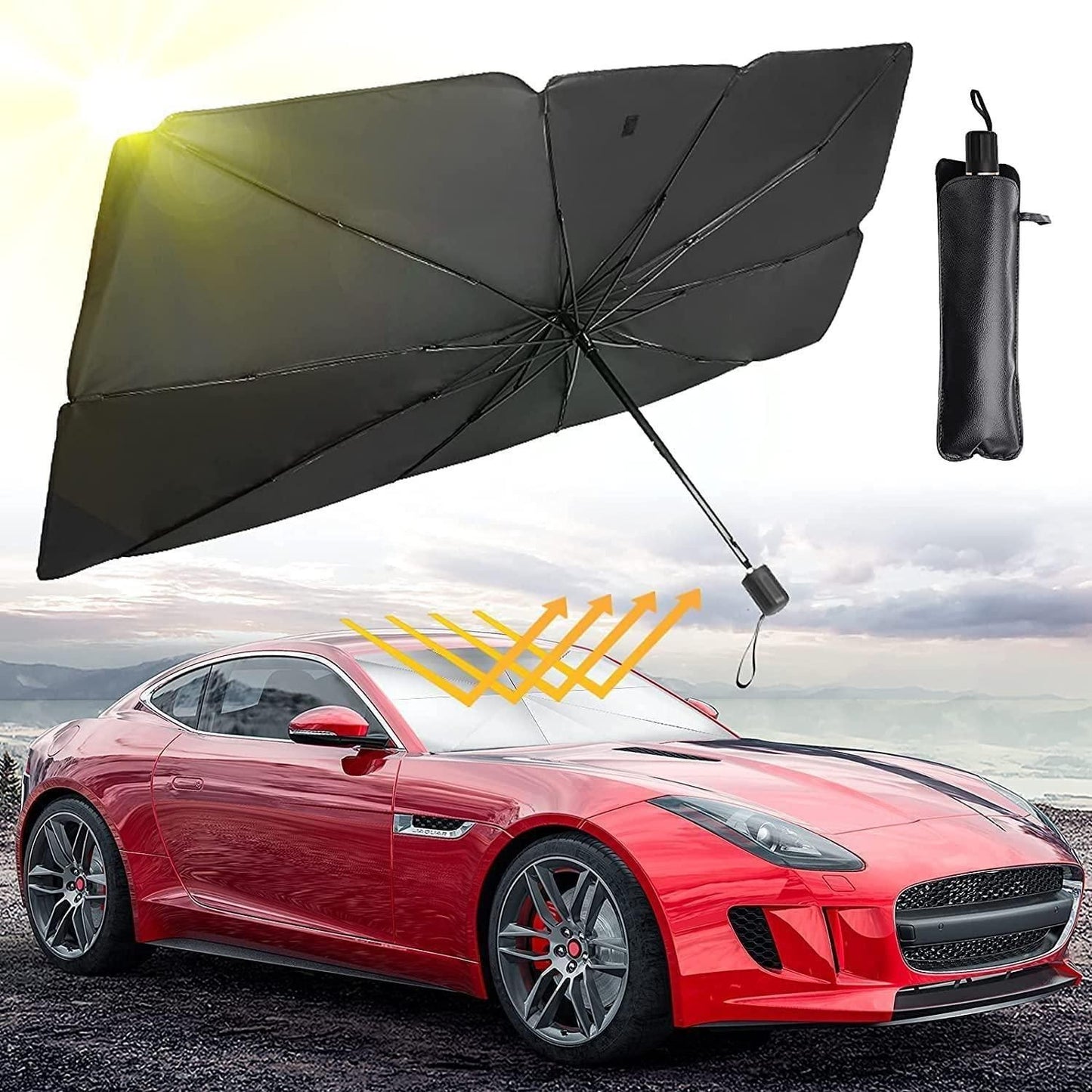 Car Windshield
