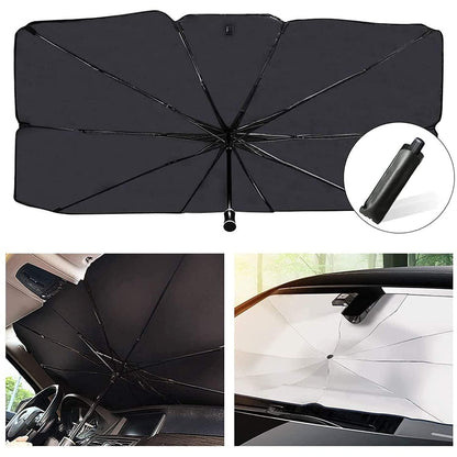 Car Windshield