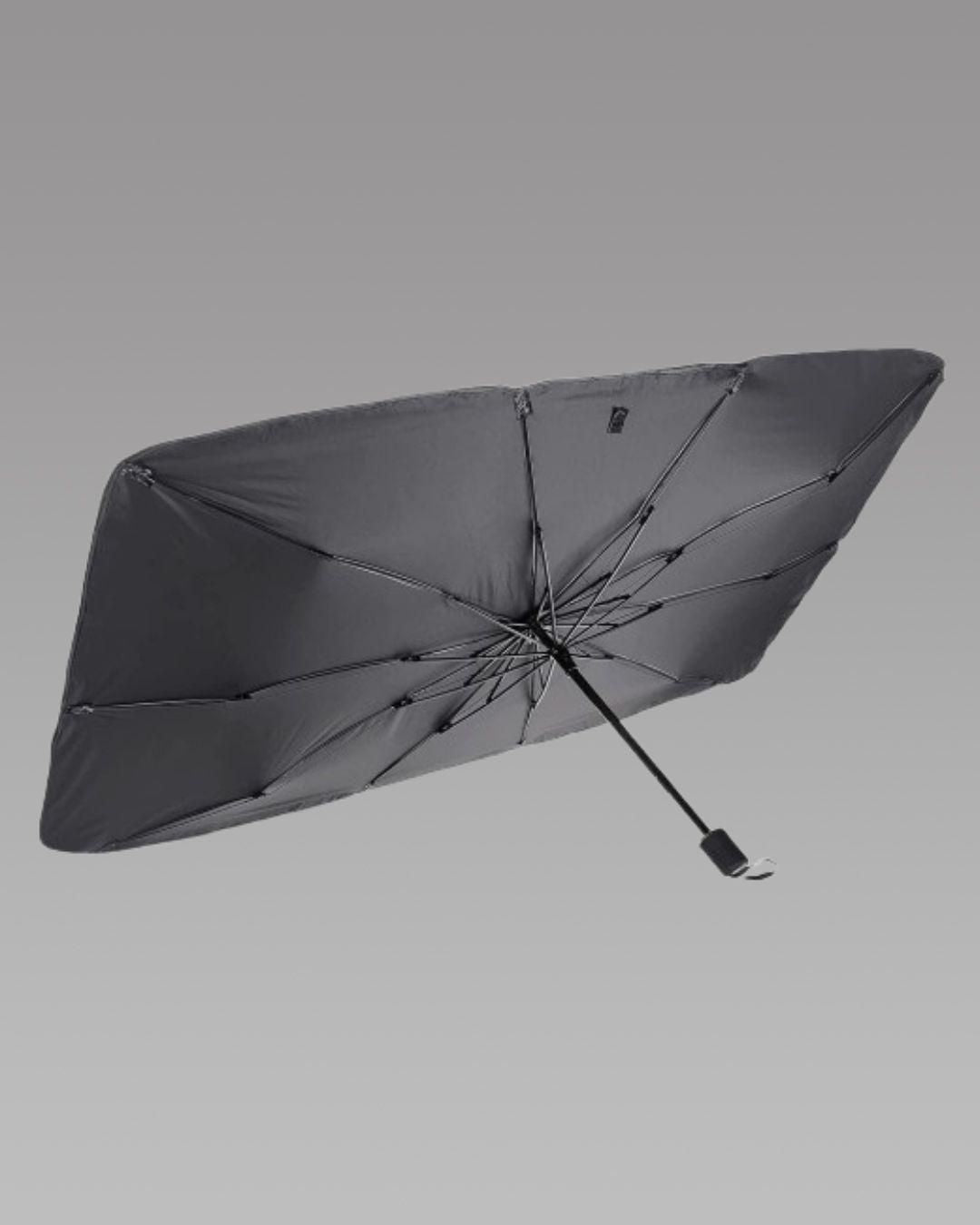 Car Windshield