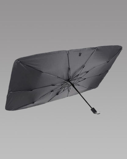 Car Windshield
