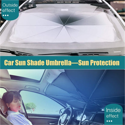 Car Windshield