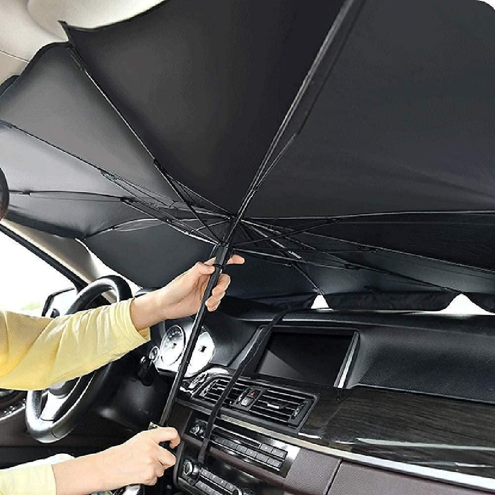 Car Windshield