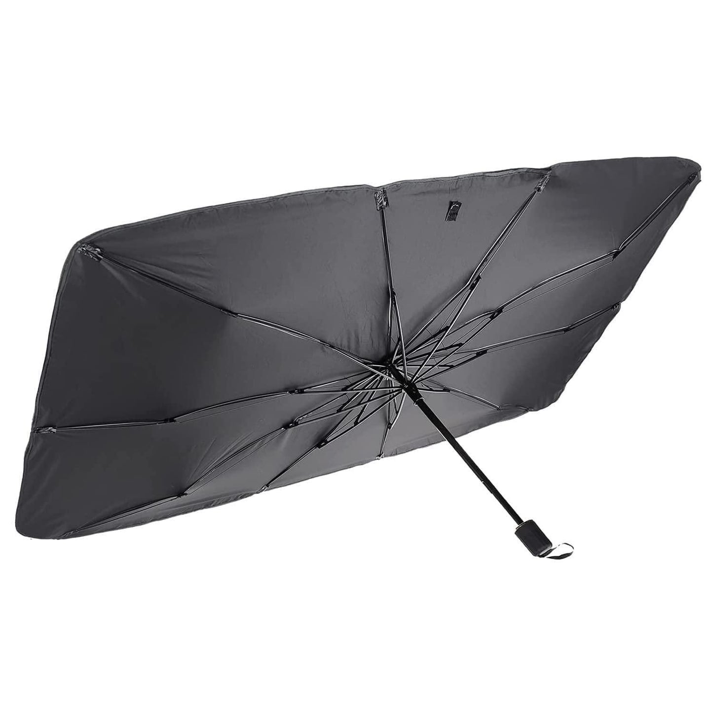 Car Windshield